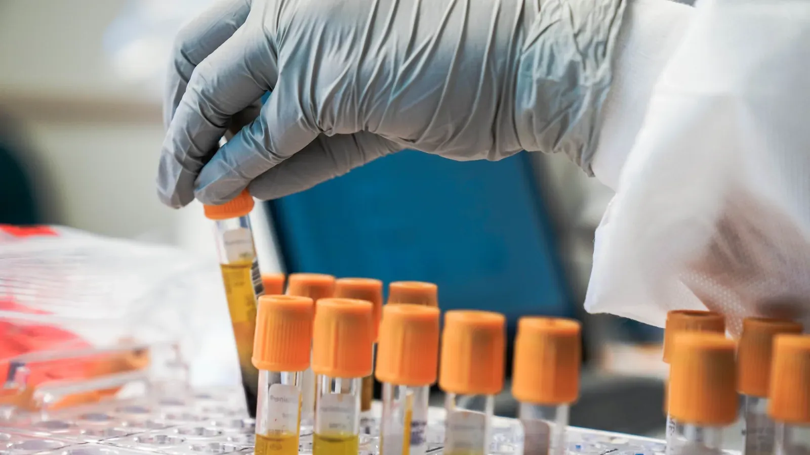 Gloved laboratory hand lifting a sample vial from a rack of capped specimen tubes