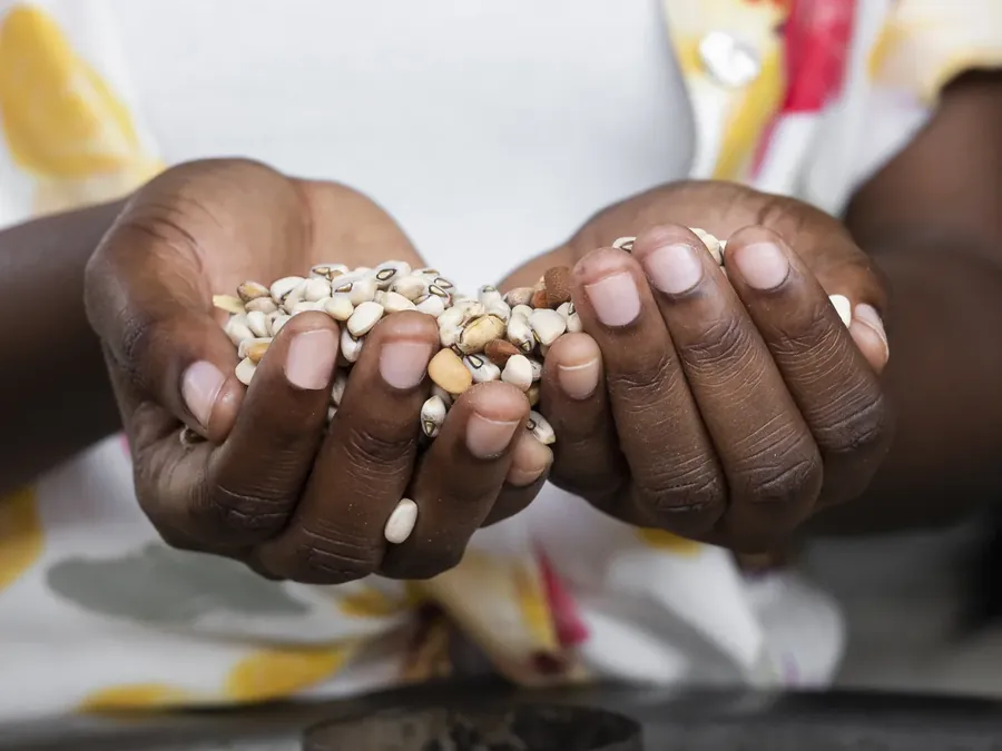 Cupped hands holding a handful of dried beans
