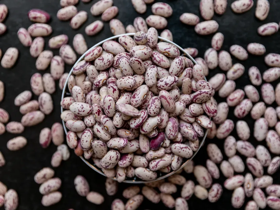 Speckled sugar beans in a bowl, surrounded by loose beans